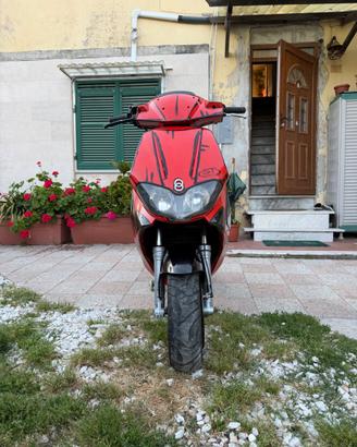 Runner 50 sp