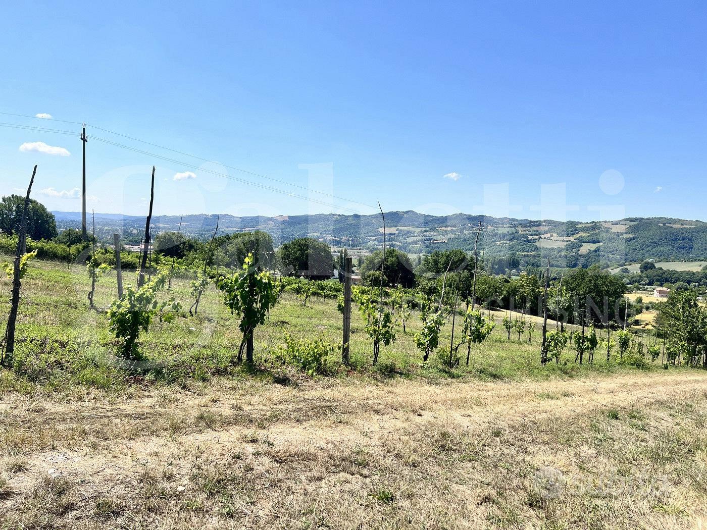 Terreno Agricolo Gubbio [TERRAGLORETO9VCG] - Vista 2