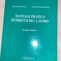 Manuale pratica di diritto del lavoro