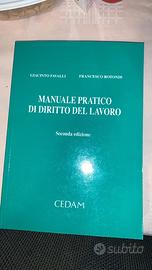 Manuale pratica di diritto del lavoro