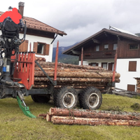 Rimorchio forestale