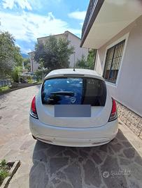 Lacia ypsilon gpl 2017 