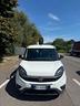 fiat-doblo-doblo-1-6-mjt-120cv-s-s-pc-tn-cargo-eas