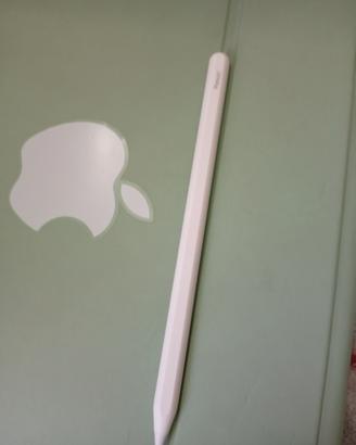 penna per iPad (2018-2023) con ricarica magnetica