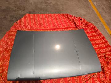 Cofano anteriore Citroen LN 1975