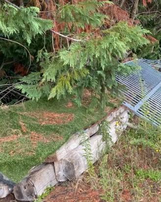 Travi di legno per solaio o pergola