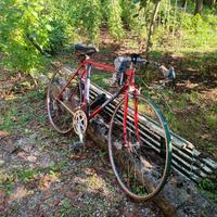 Bicicletta Benotto