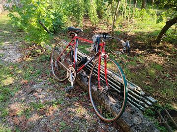 Bicicletta Benotto