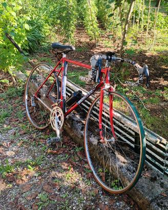 Bicicletta Benotto