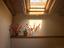 Immagine 21