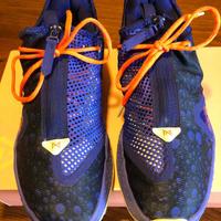 Nike PG4 Gatorade serie limitata