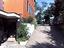 Immagine 5