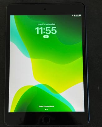 iPad mini 5