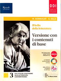libro - Il bello della letteraira