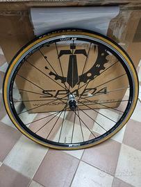 Ruote Dt Swiss r23 spline rim