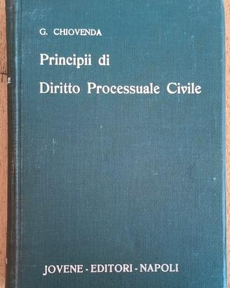 Principi di diritto processuale civile, Chiovenda