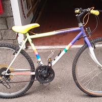Biciclette vintage 