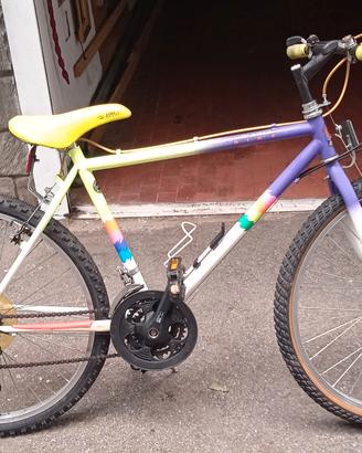 Biciclette vintage 