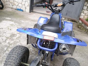quad 110cc