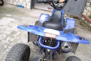 quad 110cc