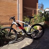 bicicletta elettrica uomo a pedalata assistita 