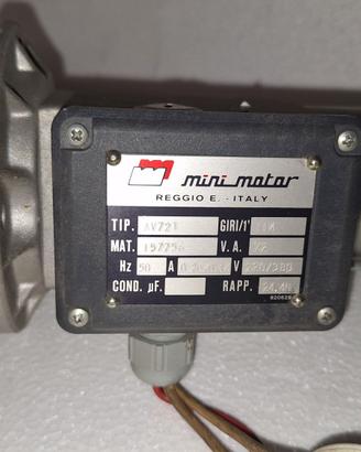 Motoriduttore Minimotor