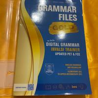 Libro inglese superiori Grammar Files INTATTO