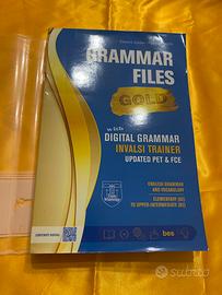 Libro inglese superiori Grammar Files INTATTO