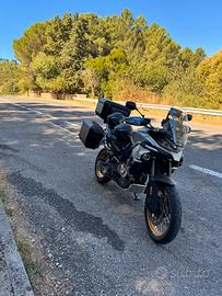 Cf Moto 800 Mt Touring 2025