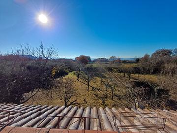 .Ciò che cerchi da un po'