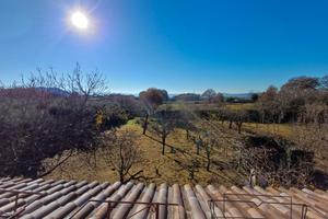 .Ciò che cerchi da un po'