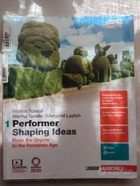 libro di letteratura in inglese