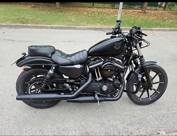 Harley-Davidson 883 iron 