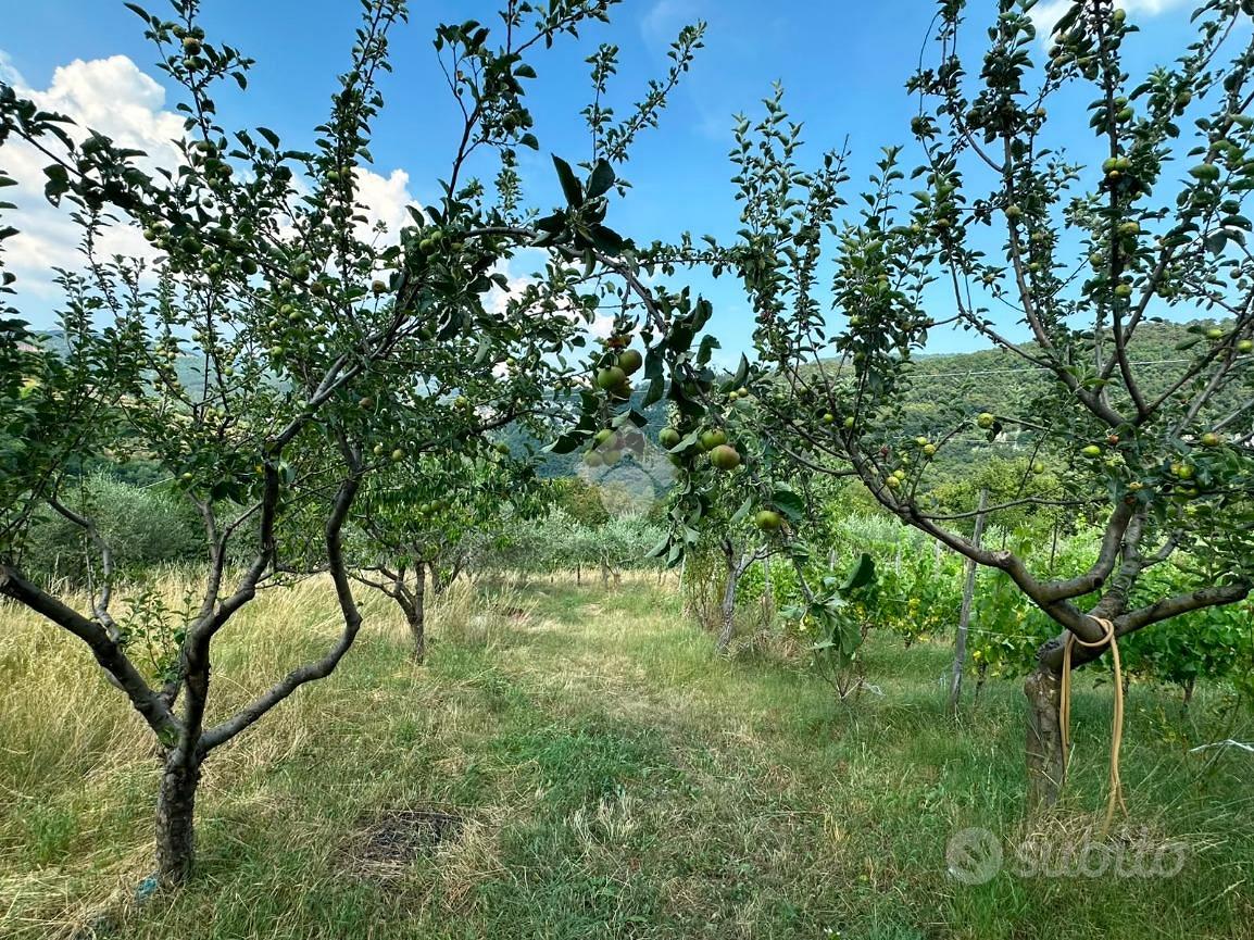 TERRENO A FUMANE - Vista 4