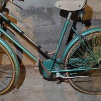 Bici da passeggio 