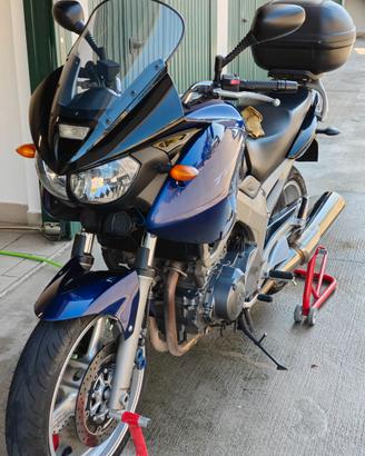 TDM 900