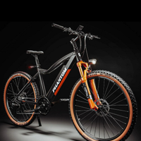 Mountain bike