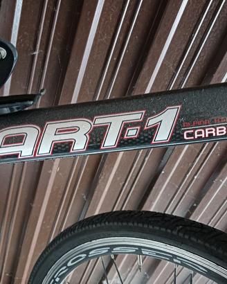 MTB carbonio 