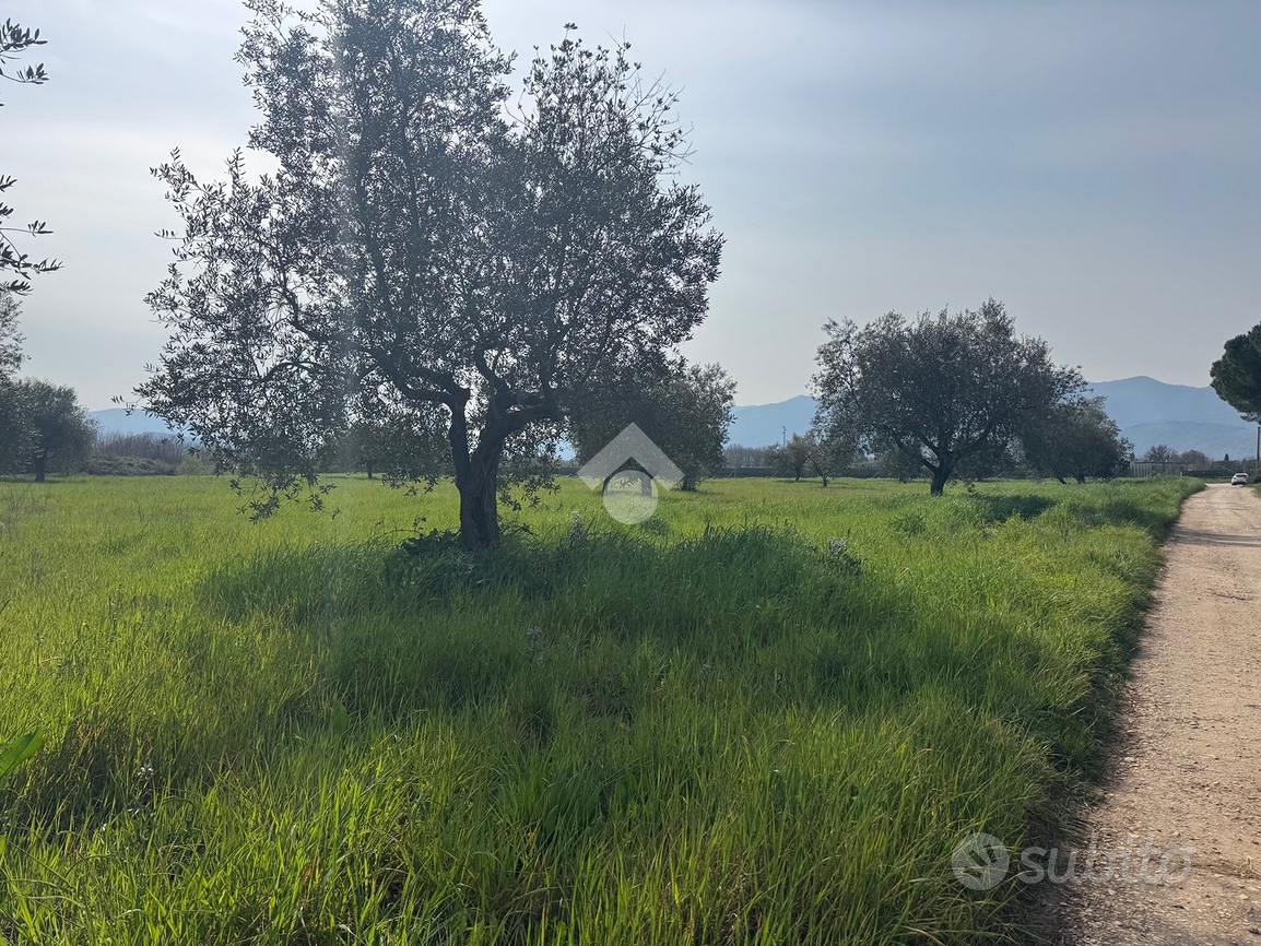 TER. AGRICOLO A VENAFRO - Vista 2