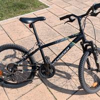 Bicicletta ragazzo 20 pollici 