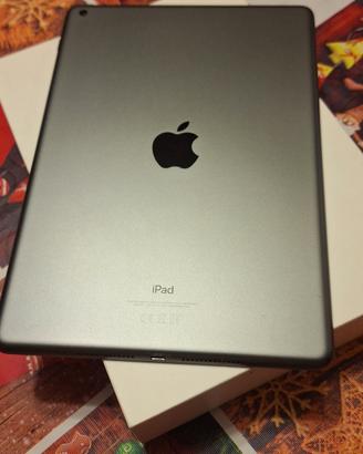 Tablet Apple IPad WIFI 9 Generazione da 64 Gb 