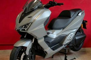 Cjr LION R