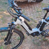 E-Bike Winora Tria 10