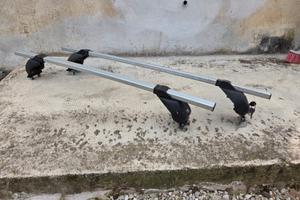 barre portatutto peugeot 207