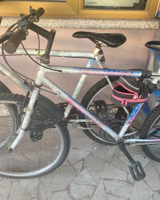 Biciclette di vario tipo