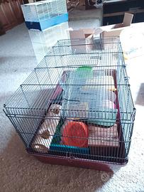 gabbia per criceti