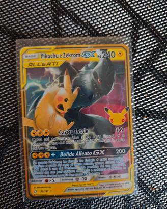 Pikachu e Zekrom 