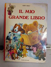 Il mio grande libro