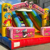 Gonfiabili di vario genere