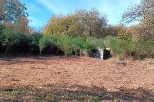 Terreno agricolo
